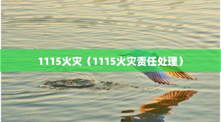 1115火灾（1115火灾责任处理）