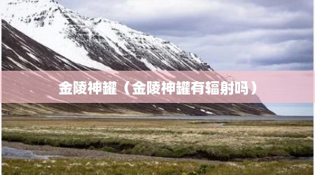 金陵神罐（金陵神罐有辐射吗）
