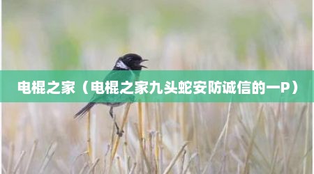电棍之家（电棍之家九头蛇安防诚信的一P）