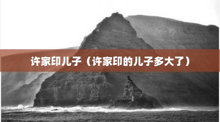 许家印儿子（许家印的儿子多大了）