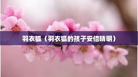 羽衣狐（羽衣狐的孩子安倍晴明）