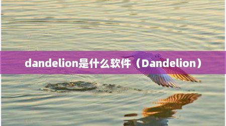 dandelion是什么软件（Dandelion）