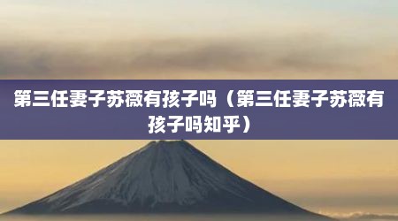 第三任妻子苏薇有孩子吗（第三任妻子苏薇有孩子吗知乎）
