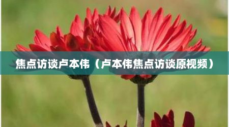 焦点访谈卢本伟（卢本伟焦点访谈原视频）