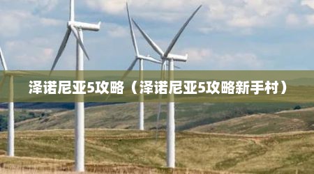 泽诺尼亚5攻略（泽诺尼亚5攻略新手村）