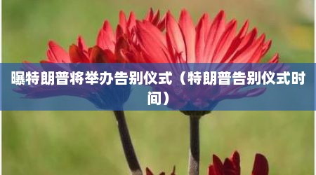 曝特朗普将举办告别仪式（特朗普告别仪式时间）