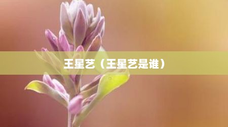 王星艺（王星艺是谁）