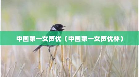 中国第一女声优（中国第一女声优林）