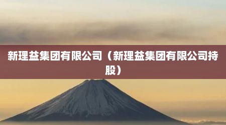 新理益集团有限公司（新理益集团有限公司持股）