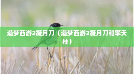 造梦西游2凝月刀（造梦西游2凝月刀和擎天柱）