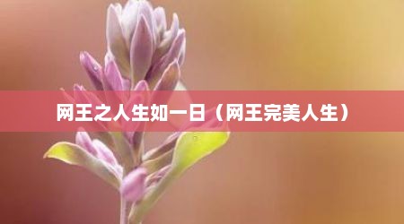 网王之人生如一日（网王完美人生）
