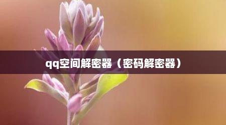 qq空间解密器（密码解密器）