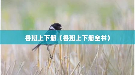 鲁班上下册（鲁班上下册全书）