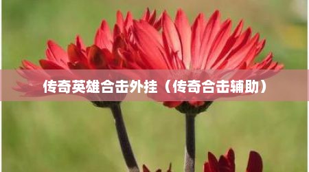 传奇英雄合击外挂（传奇合击辅助）