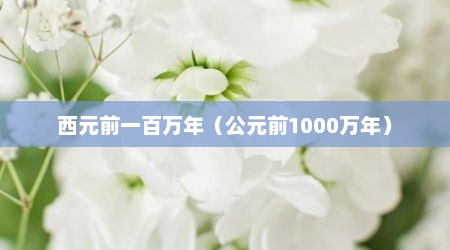 西元前一百万年（公元前1000万年）