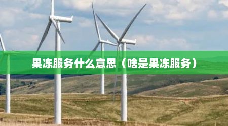 果冻服务什么意思（啥是果冻服务）