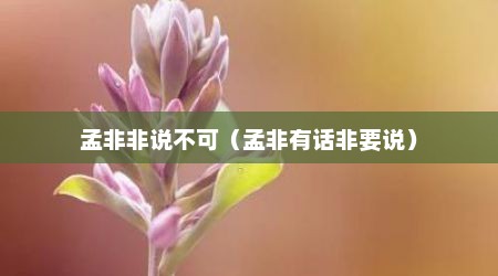 孟非非说不可（孟非有话非要说）