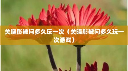关晓彤被问多久玩一次（关晓彤被问多久玩一次游戏）
