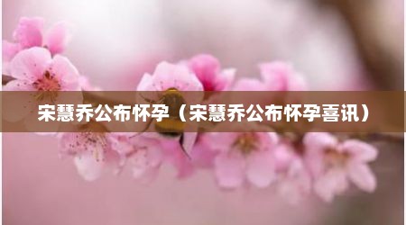 宋慧乔公布怀孕（宋慧乔公布怀孕喜讯）