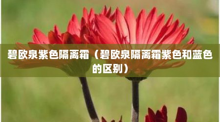 碧欧泉紫色隔离霜（碧欧泉隔离霜紫色和蓝色的区别）
