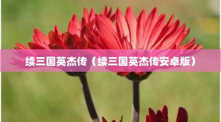 续三国英杰传（续三国英杰传安卓版）