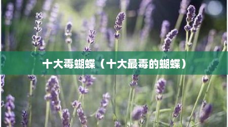 十大毒蝴蝶（十大最毒的蝴蝶）