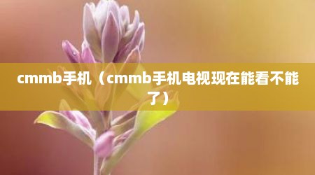 cmmb手机（cmmb手机电视现在能看不能了）