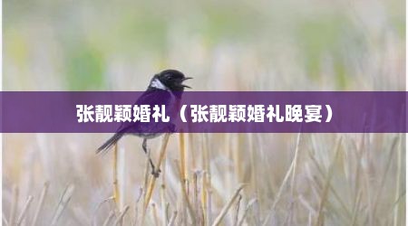 张靓颖婚礼（张靓颖婚礼晚宴）