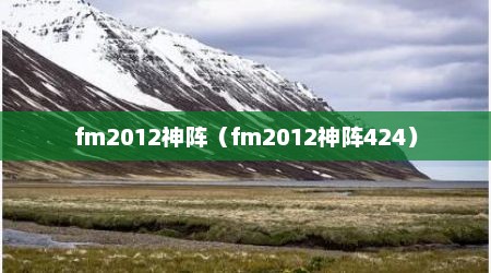 fm2012神阵（fm2012神阵424）