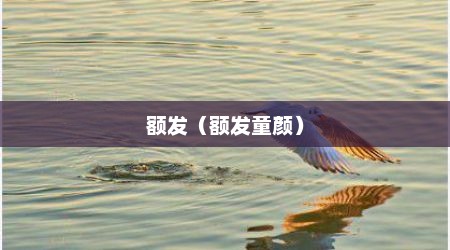 额发（额发童颜）
