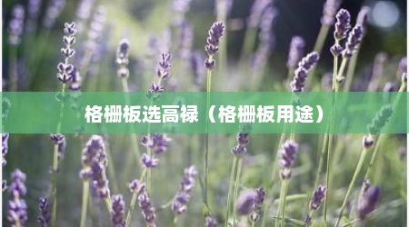 格栅板选高禄（格栅板用途）