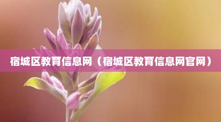 宿城区教育信息网（宿城区教育信息网官网）
