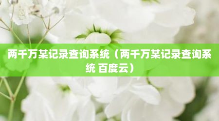 两千万某记录查询系统（两千万某记录查询系统 百度云）