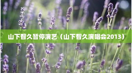 山下智久暂停演艺（山下智久演唱会2013）