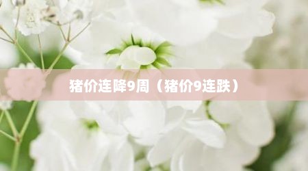 猪价连降9周（猪价9连跌）