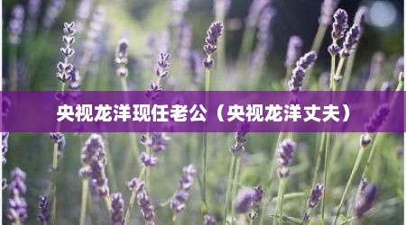 央视龙洋现任老公（央视龙洋丈夫）