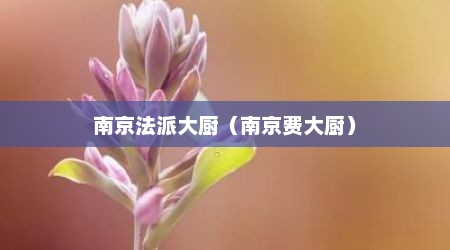 南京法派大厨（南京费大厨）