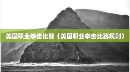 美国职业拳击比赛（美国职业拳击比赛规则）