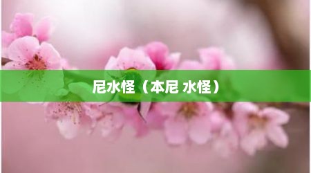尼水怪（本尼 水怪）