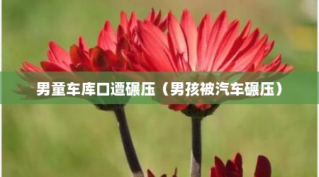男童车库口遭碾压（男孩被汽车碾压）