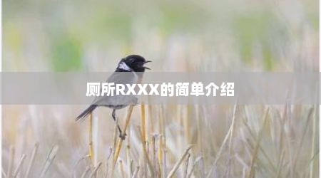 厕所RXXX的简单介绍