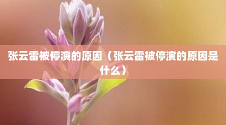 张云雷被停演的原因（张云雷被停演的原因是什么）