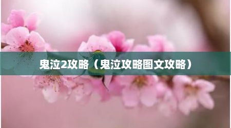 鬼泣2攻略（鬼泣攻略图文攻略）