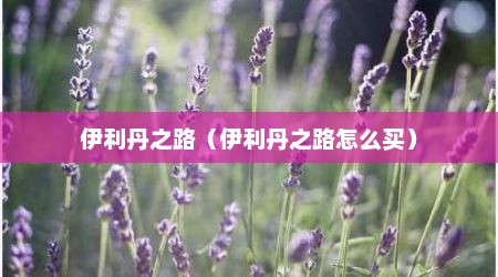 伊利丹之路（伊利丹之路怎么买）