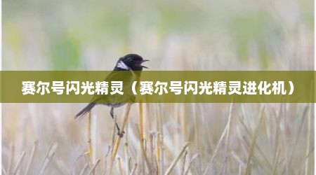赛尔号闪光精灵（赛尔号闪光精灵进化机）