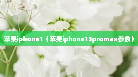 苹果iphone1（苹果iphone13promax参数）