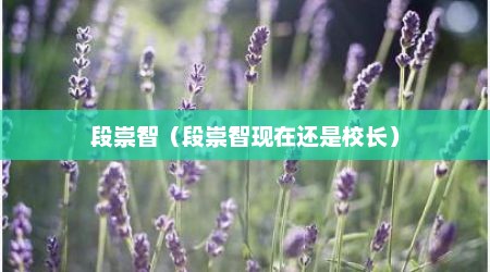 段崇智（段崇智现在还是校长）