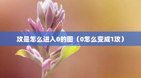 攻是怎么进入0的图（0怎么变成1攻）