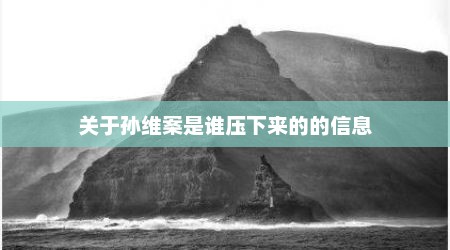 关于孙维案是谁压下来的的信息