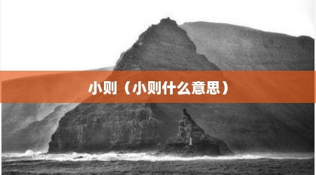 小则（小则什么意思）